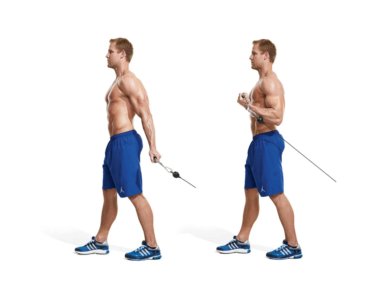 forearm workout