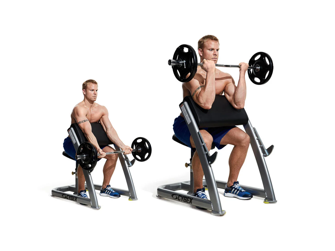 forearm workout