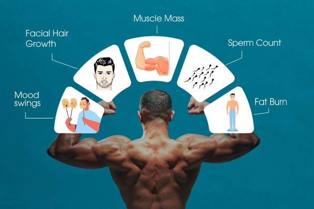 testosterone 