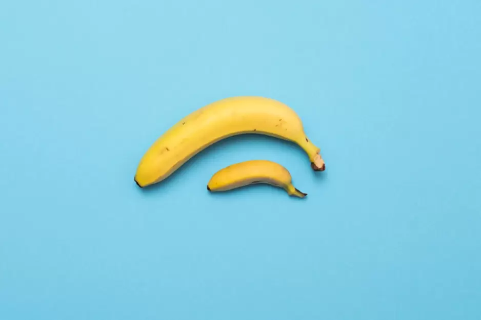 Penis Size Shrinks