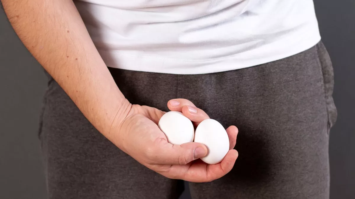  Testicular pleasure 