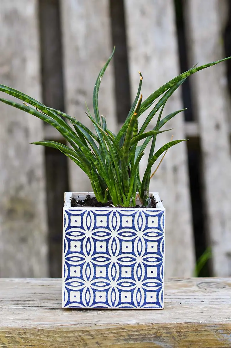 Beautiful Moroccan Tile Planters 